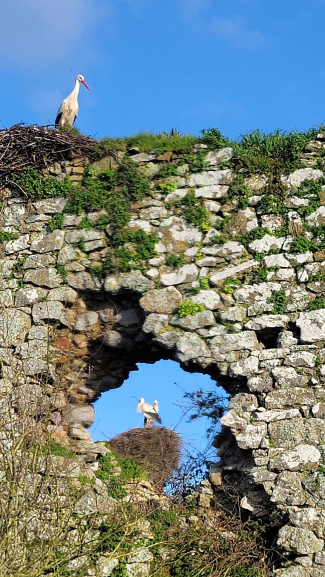 Gite Au Coeur Du Dday Brevands Dış mekan fotoğraf