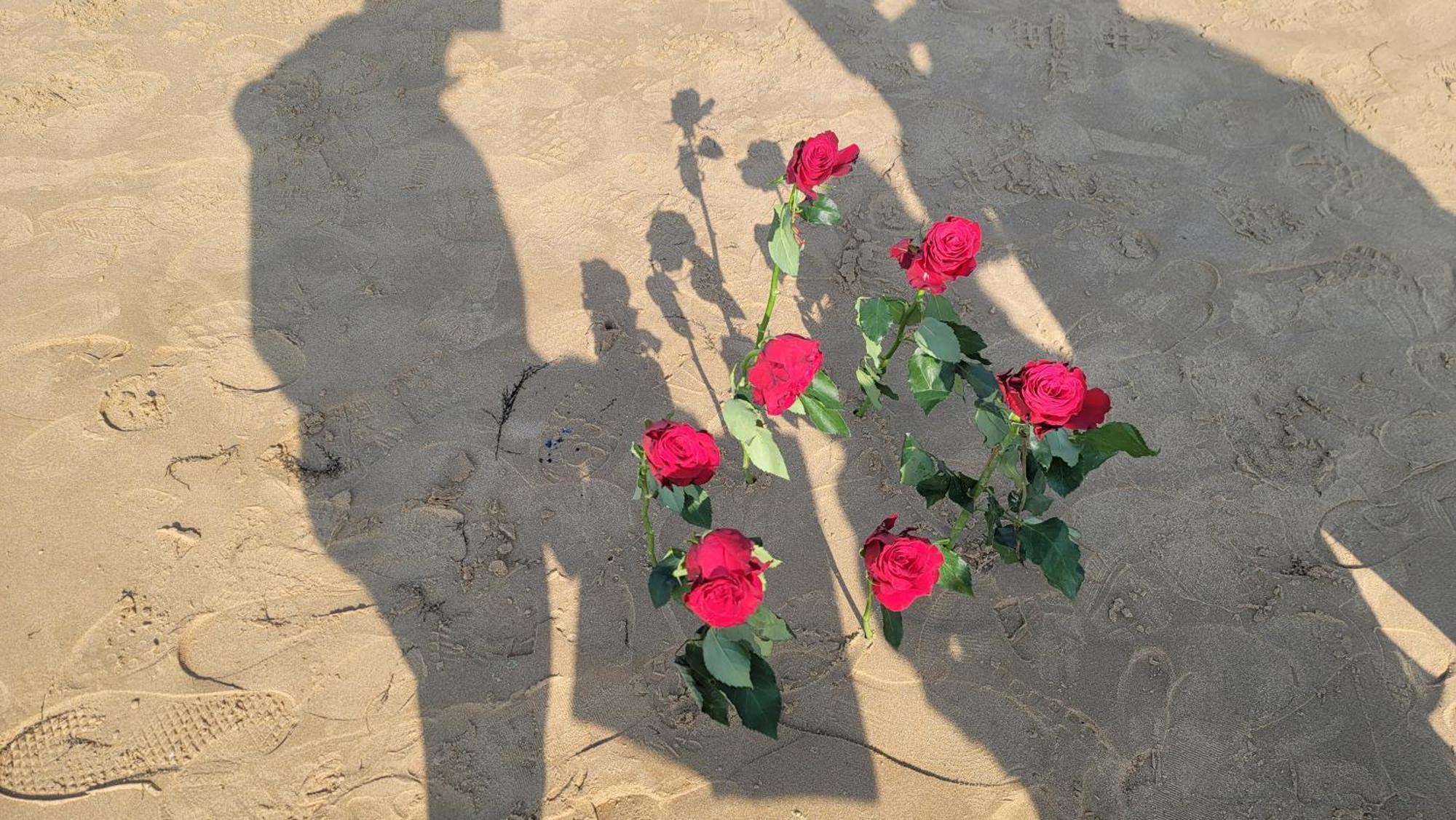 Gite Au Coeur Du Dday Brevands Dış mekan fotoğraf