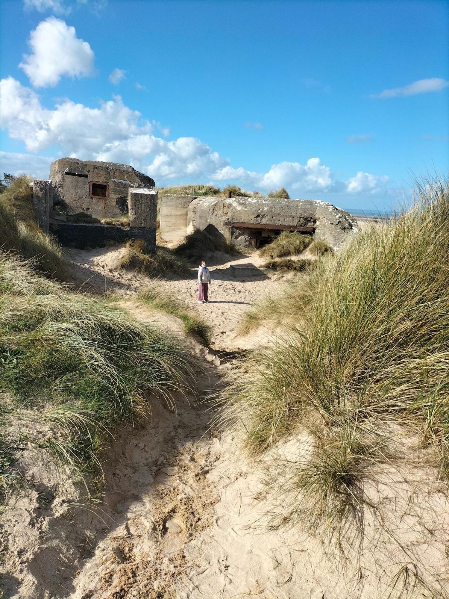 Gite Au Coeur Du Dday Brevands Dış mekan fotoğraf